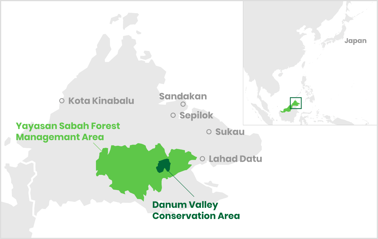 MAP Danum Valley