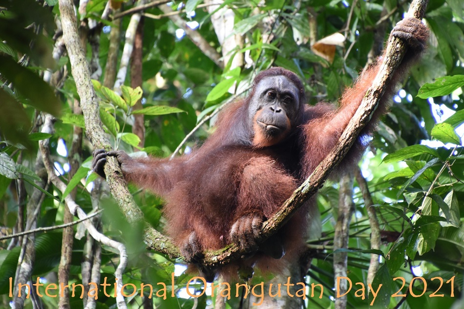 qenj2qsuwcgb1kyk3uyzu9cvpume05r5.jpg qenj2qsuwcgb1kyk3uyzu9cvpume05r5.jpg