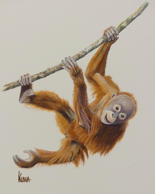 47iq9btfpb7evwpgx3z7mrepyxkenfsr.jpg 47iq9btfpb7evwpgx3z7mrepyxkenfsr.jpg