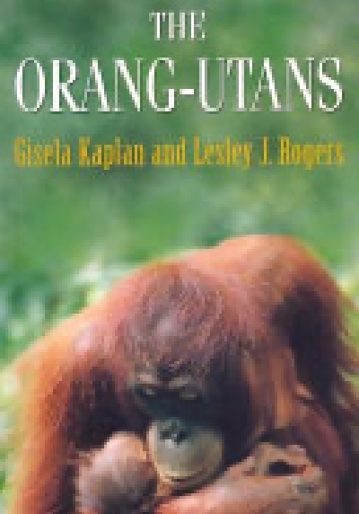 The Orang-Utan