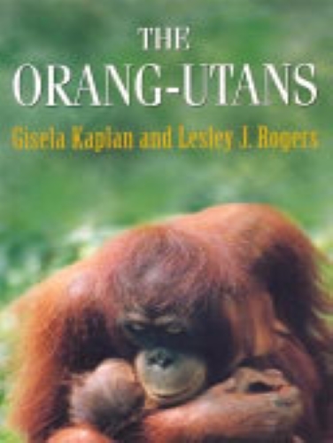 The Orang-Utan