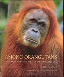 Among Orangutans