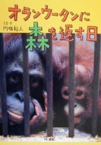 オランウータンに森を返す⽇