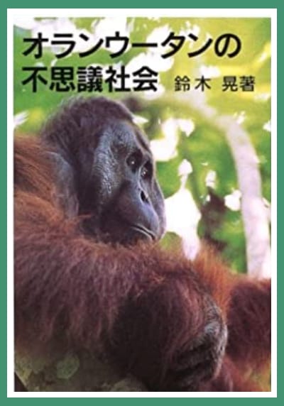 オランウータンの不思議社会