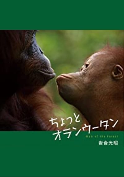 ちょっとオランウータン
