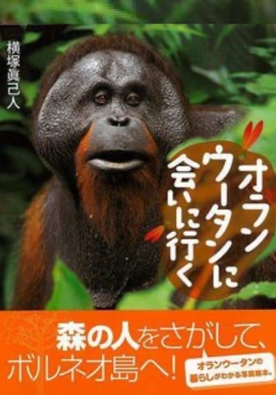 オランウータンに会いに⾏く