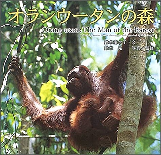 写真絵本「オランウータンの森」