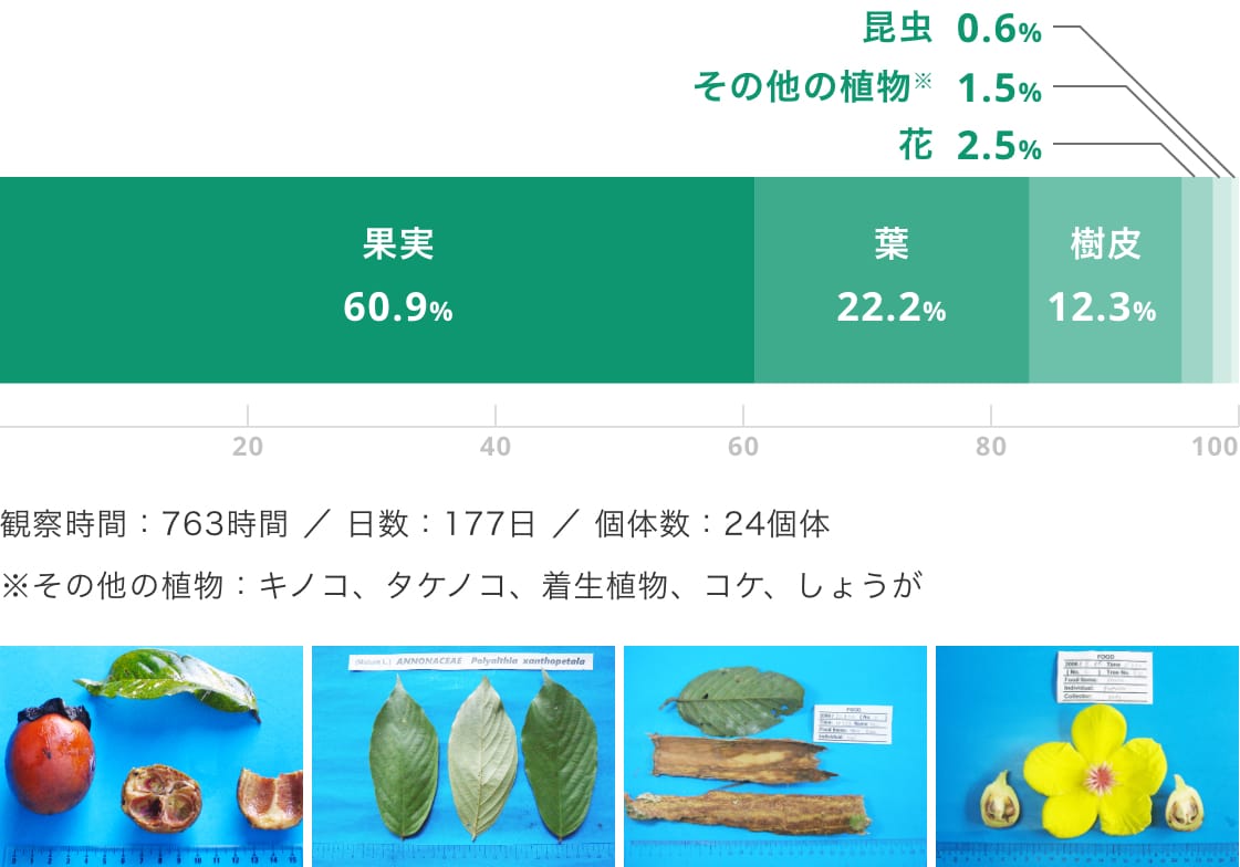 採食　グラフ