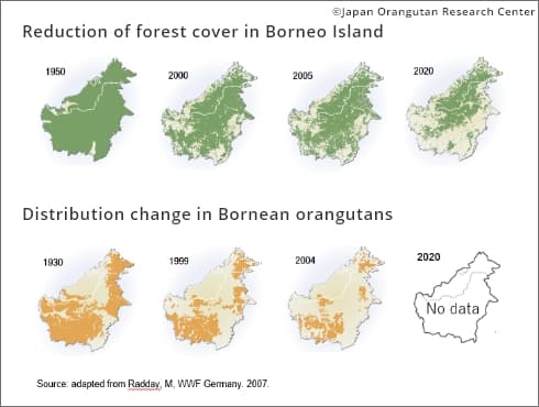 ボルネオ島の森林現象と分布の変化