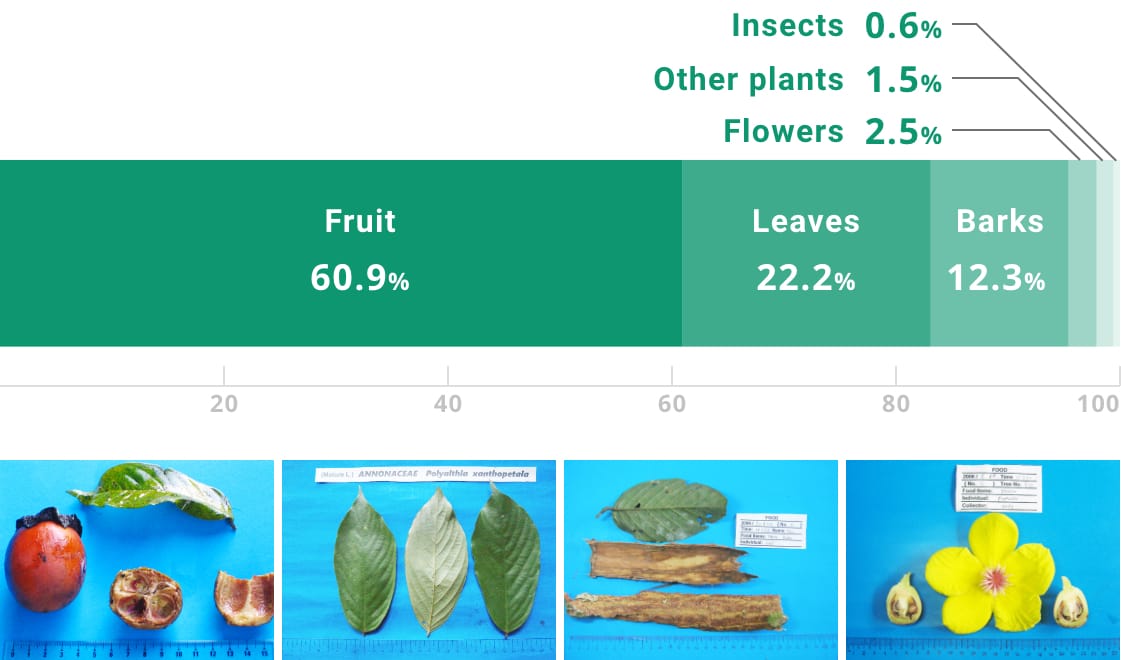 Foraging　graph