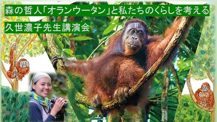 【終了しました】滋賀県立大学人間文化セミナー『森の哲人「オランウータン」とわたしたちの暮らしを考える』講師　久世濃子