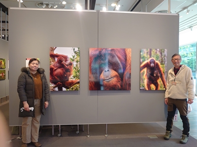 【会場レポート】奥田達哉 写真展『絶滅危惧種〜東南アジアの霊長類』（後援：おらけん、WWFジャパン）