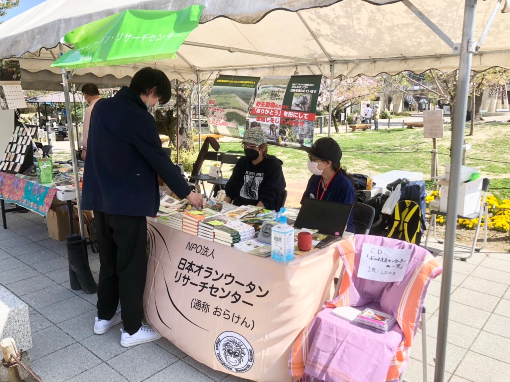 当日レポート 当日レポート