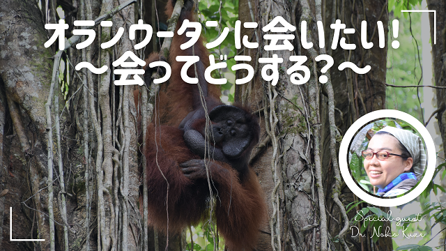 【終了しました】大牟田市動物園ライブ配信！オランウータンに会いたい！~会ってどうする？~講演　久世濃子 