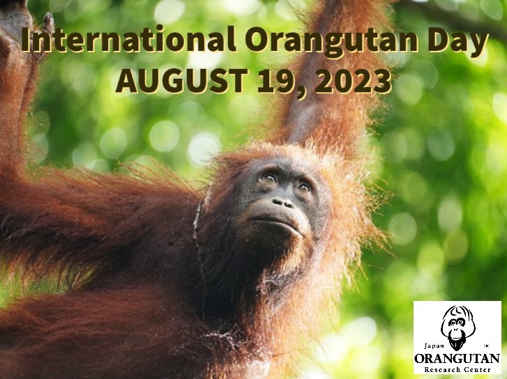 International Orangutan Day 　　　　　　　　　　国際オランウータンの日