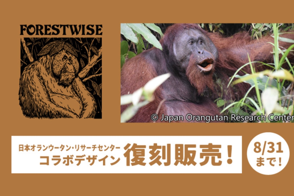 国際オランウータンの日 特別チャリティー企画 国際オランウータンの日 特別チャリティー企画