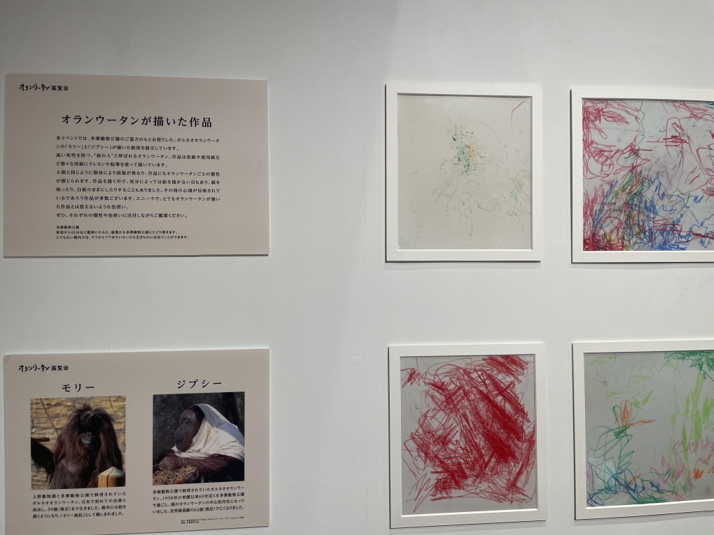 オランウータン展覧会~森の人からのおくりもの~ オランウータン展覧会~森の人からのおくりもの~