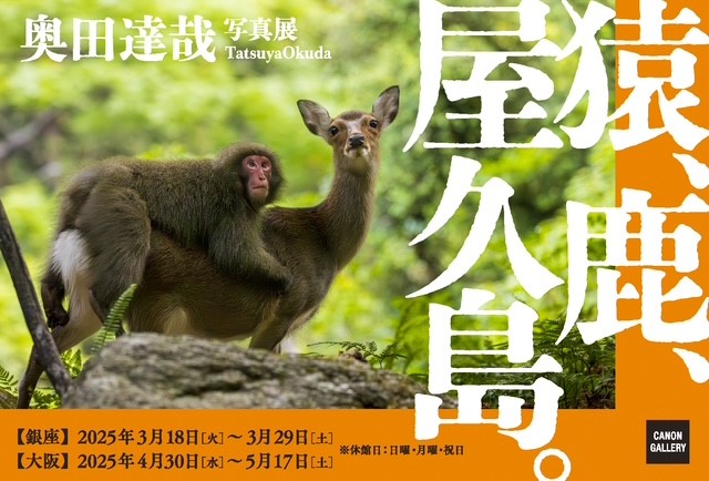 奥田達哉 写真展『 猿、鹿、屋久島。』東京・大阪で開催（入場無料）