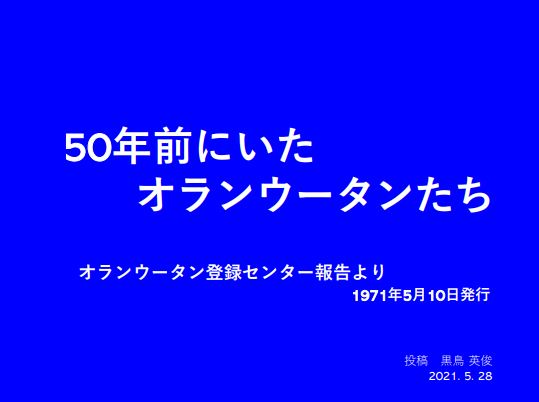 大型類人猿の飼育に携わってきたおらけん代表の黒鳥が、1971年当時と現在を比較した解説を公開しています。